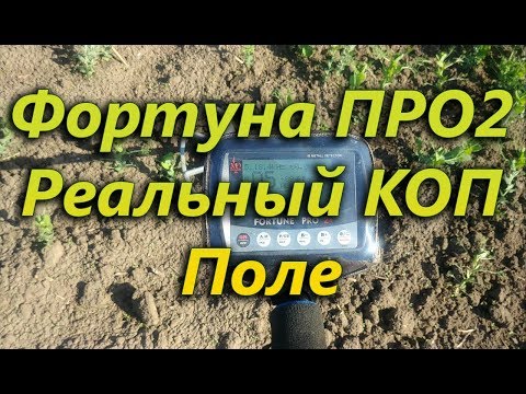 Видео: Фортуна ПРО2  Реальный коп на поле