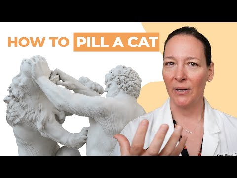 Видео: Как дать кошке таблетку: 3 метода, одобренных ветеринарами