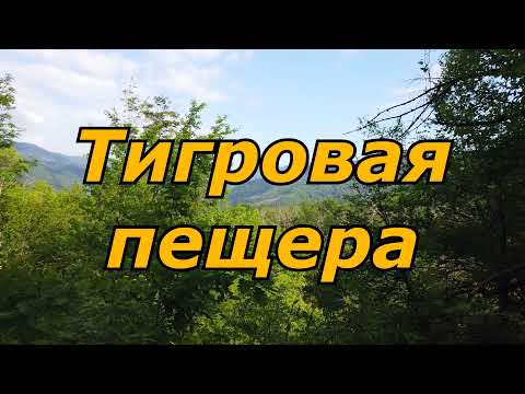 Видео: Думал больше туда не пойду. Тигровая пещера.