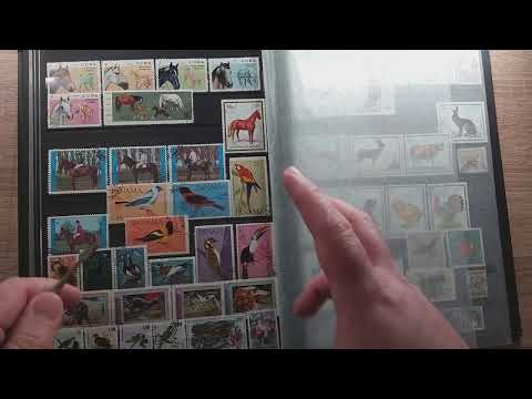 Видео: My stamps collection - fauna- my first collecting love - Коллекция почтовых марок мира фауна