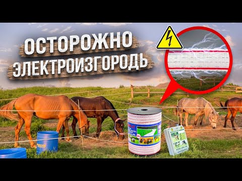 Видео: ЭЛЕКТРОПАСТУХ для лошадей | Установка электропастуха AGRI