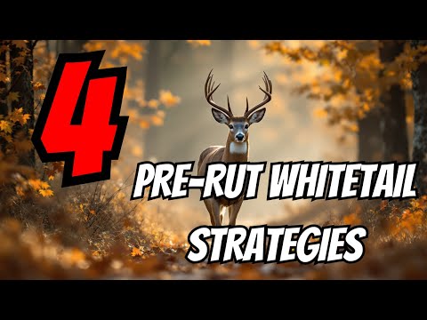 Видео: 4 стратегии для белохвостого оленя до гона, которые превращают возможности в успех