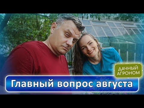 Видео: СПАСАЙТЕ ОГУРЦЫ! И клубнику! И ПОМИДОРЫ Или просто БЕГИТЕ с огорода!