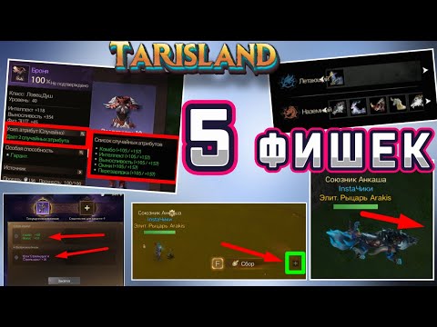 Видео: Tarisland - 5 ФИШЕК игры | Маунты | Бонусы снаряжения | Сбор ресурсов | MMORPG