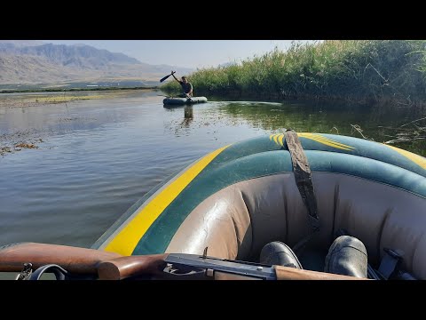 Видео: Охота на утку в Армении / открытие охоты 25.09.2020 / Բադի որս / badi vors / ducks hunting /