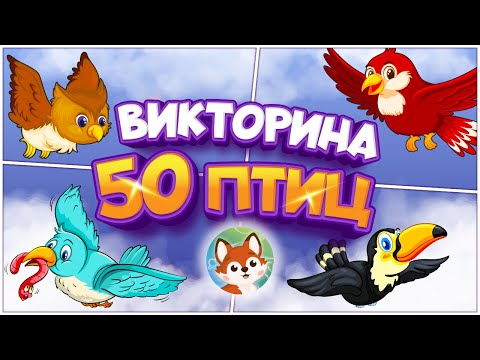 Видео: 50 птиц - Большая викторина для детей. 🦜Угадываем птиц. 🦚