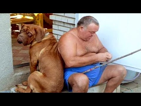 Видео: Я РЖАЛ ДО СЛЕЗ // ЛУЧШИЕ ПРИКОЛЫ 2025 // ПРИКОЛЫ С ЖИВОТНЫМИ. НОВЫЕ ПРИКОЛЫ.