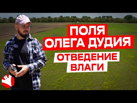 Видео: Поля Олега Дудия | Отведение влаги