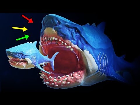 Видео: Судағы 1-ші АТАМАН балықты алдым