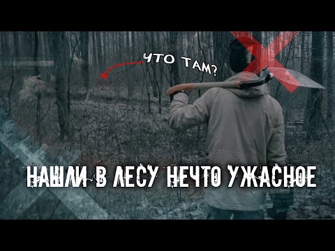 Видео: Нашли в лесу нечто УЖАСНОЕ | Журналистское расследование
