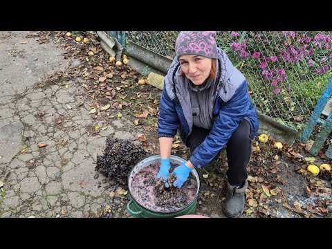 Видео: В СЕЛІ СЬОГОДНІ СВЯТКУЮТЬ. А ВИ? 🤔