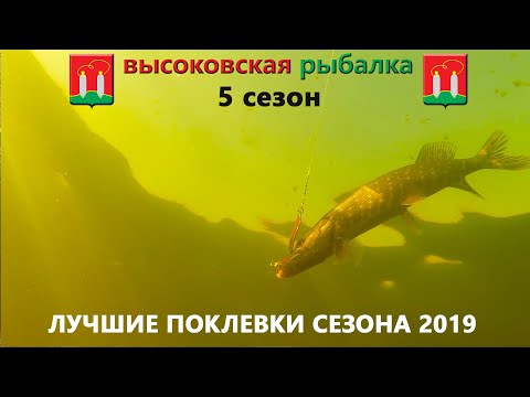 Видео: ЛУЧШИЕ ПОКЛЕВКИ  СЕЗОНА 2019