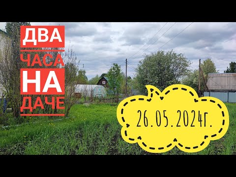 Видео: Не можем посадить картошку/Навели бардак на даче#огород#влог#дача#село#сибирь#жизнь#я#томаты#мусор