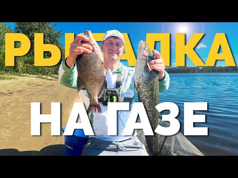 Видео: ⚠️ ХОЧУ ЛЕЩА ❗️Клев на ГАЗЕ! ✅ Раздача сомов и лещей! Рыбалка в Киеве!