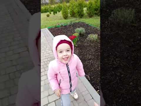 Видео: З Нікою на пітомнику