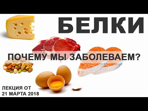 Видео: Белки. Как мы заболеваем? Алименко А.Н. (14.03.2018)
