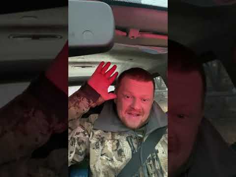 Видео: Охота на гуся - оружие, патроны, сужения...