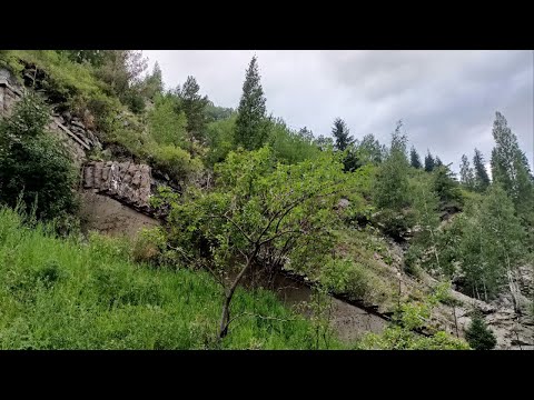 Видео: п. Палатцы Восточно - Казахстанская Область