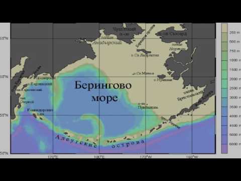 Видео: Берингово море (рассказывает океанолог Михаил Флинт)
