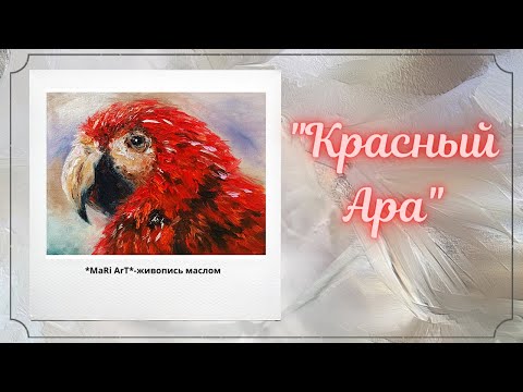 Видео: 🎨 "Красный Ара"/живопись маслом для начинающих/Марина Бердник #живописьмаслом #tutorial #попугайара