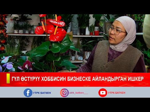 Видео: ГҮЛ ӨСТҮРҮҮ ХОББИСИН БИЗНЕСКЕ АЙЛАНДЫРГАН ИШКЕР