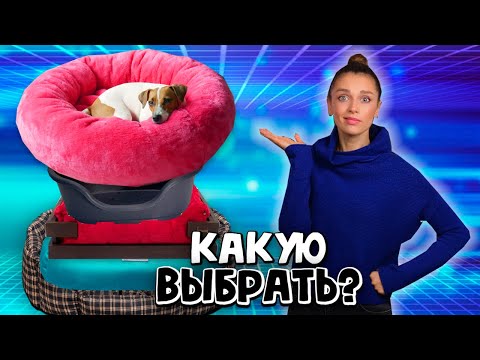 Видео: Всё о Лежанках // В Поисках Идеального Лежака