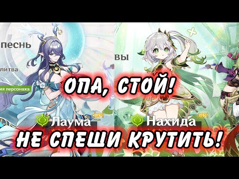 Видео: Стоит Ли Крутить Лауму Или Нахиду в патче Луна I ? Genshin Impact