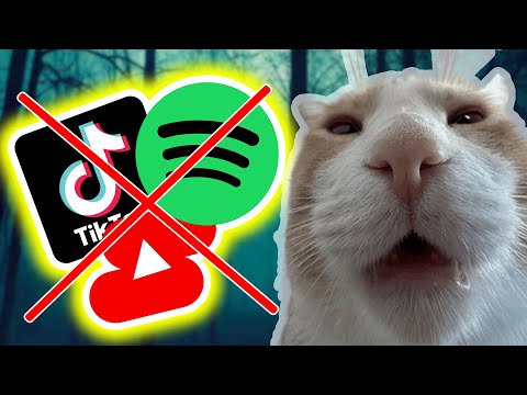 Видео: Эти Вещи Делают ТЕБЯ Глупее…