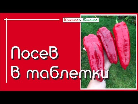 Видео: Посев томата, перца, баклажана в таблетки. Отличная всхожесть и дополнительные бонусы.