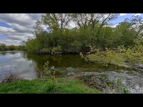 Видео: Апрельские шереспёры