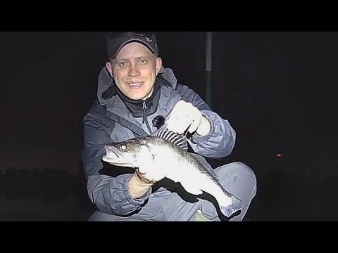 Видео: Рыбалка! Судак на самодельный воблер из бальзы.