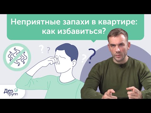 Видео: Как избавиться от неприятного запаха? Советы от СЭС | Дезодорация