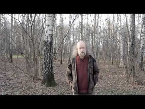Видео: Интервью Сергея Летова для фильма В.Козлова "Следы на снегу"