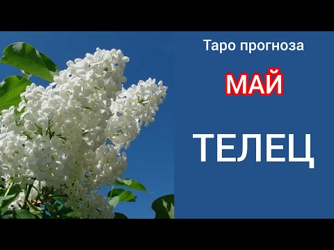 Видео: ТЕЛЕЦ ♉ Таро прогноза за МАЙ 2025 #tarot #рийдинг #хороскоп #taro #телец #tarotreading #24май