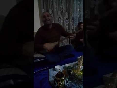 Видео: #дангара Мистер Мирзо  .