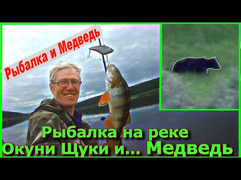 Видео: Рыбалка на реке Окуни Щуки и ... Медведь