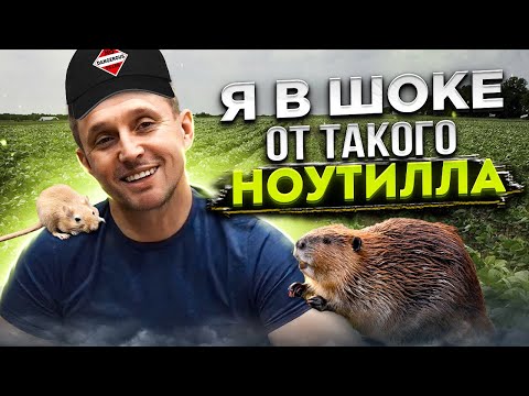 Видео: Соя в траве и БОБЕР в норе! Цветение. Классика vs No-Till. Часть 3.