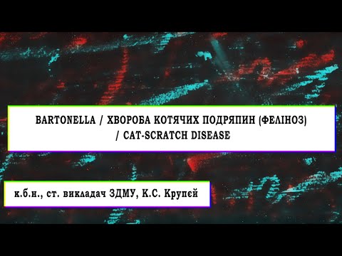 Видео: Bartonella / Хвороба котячих подряпин (феліноз) / Cat-scratch disease