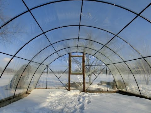 Видео: Бюджетная теплица из арматуры + немного о голубике