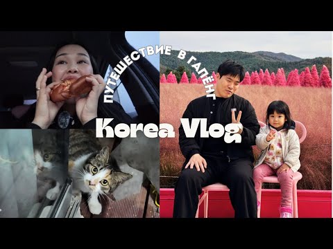 Видео: KOREA VLOG / ДР МУЖА / ДОМИК В ДЕРЕВНЕ
