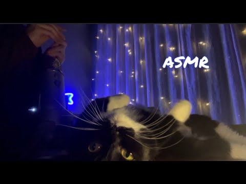 Видео: АСМР для сна • звуки рук | ASMR for sleep • hand sounds 🐈‍⬛