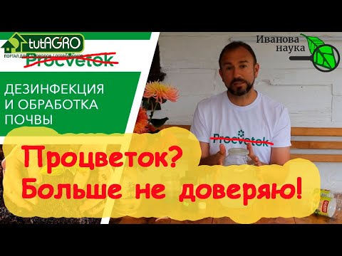 Видео: СТАВЛЮ ТОЧКУ В ВОПРОСЕ ДЕЗИНФЕКЦИИ СЕМЯН ПЕРЕКИСЬЮ ВОДОРОДА. А Процветку больше не доверяю!