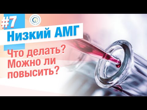 Видео: ⭐ Низкий АМГ и ЭКО. Как зачать ребенка при АМГ меньше 1? Можно ли повысить АМГ?