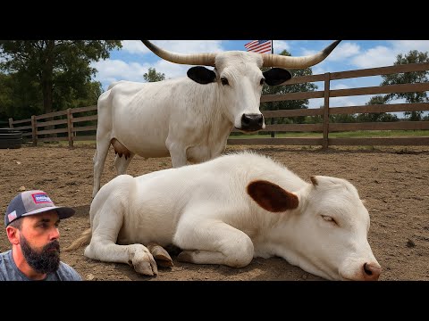 Видео: Мы пропустили знаки… Даже ее мама знала…
