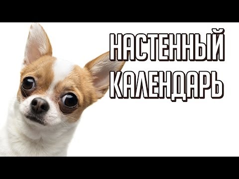 Видео: НАСТЕННЫЙ КАЛЕНДАРЬ В ПРОГРАММЕ КОРЕЛ ДРО. ГЕНЕРИРУЕМ КАЛЕНДАРНУЮ СЕТКУ НА ЛЮБОЙ ГОД. ЭТО КРУТО!