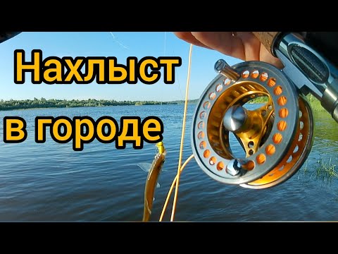 Видео: Нахлыст в городе. Голавль. Рыбалка.Fly fishing in the city. Chub. Fishing.