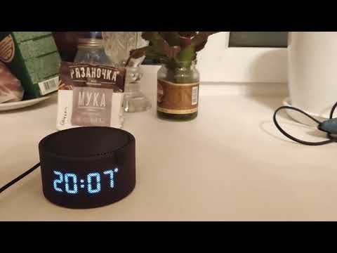Видео: 16.10.2023г