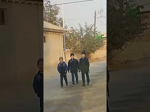 Видео: 10 ноября 2025 г.