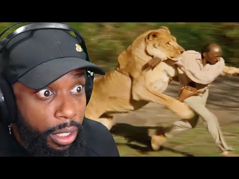 Видео: CashNasty рассказывает о том, как выжить в битве с любым высшим хищником