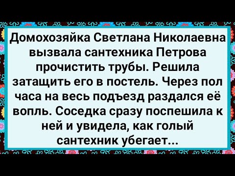 Видео: Как Домохозяйка Светлана Николаевна Вызвала Сантехника! Большой Сборник Свежих Смешных Анекдотов!